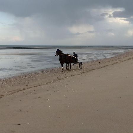 Gites " Arromanches" Ou "Bord De Mer Pmr" 2 Chambres En Front De Mer A Asnelles , 3Km D'Arromanches, 10Km De Bayeux 외부 사진